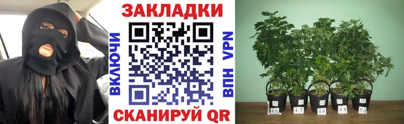 Купить наркотики сайты Александров АМФЕТАМИН  Каннабис  МЕФ  ГАШИШ 