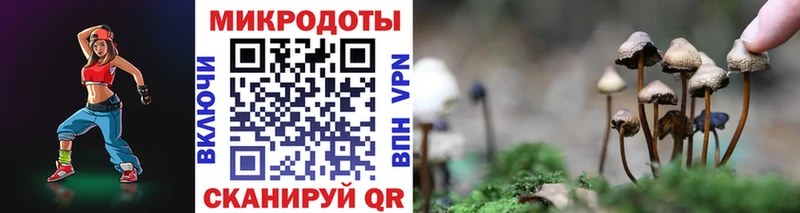 Галлюциногенные грибы мицелий  Александров 