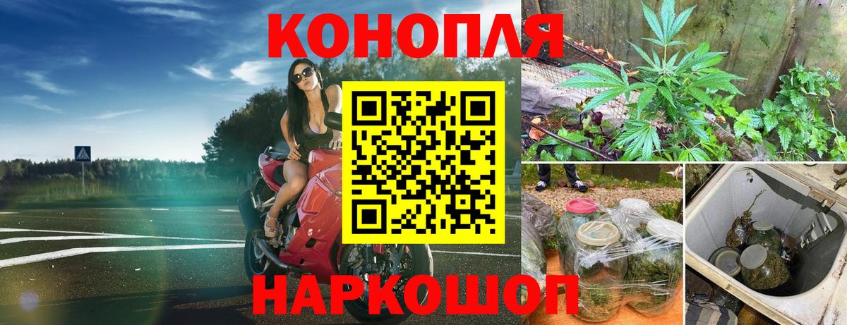 Бошки Шишки индика Александров